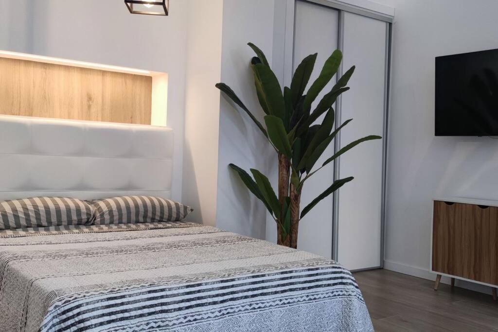 Estudio Diseno Cerca Ciudad Ciencias Vt-55211-V 발렌시아 외부 사진